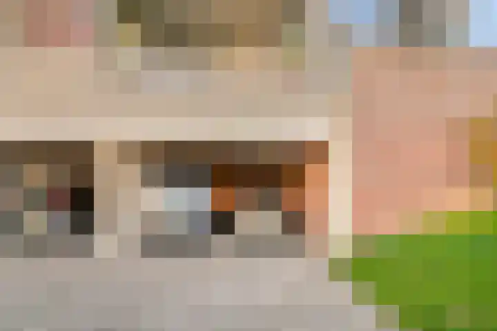 Lavendel 445 Cuijk thumbnail 44