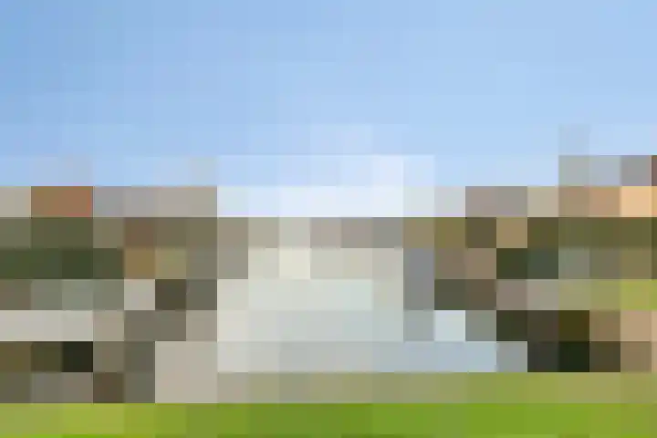 Lavendel 445 Cuijk thumbnail 46