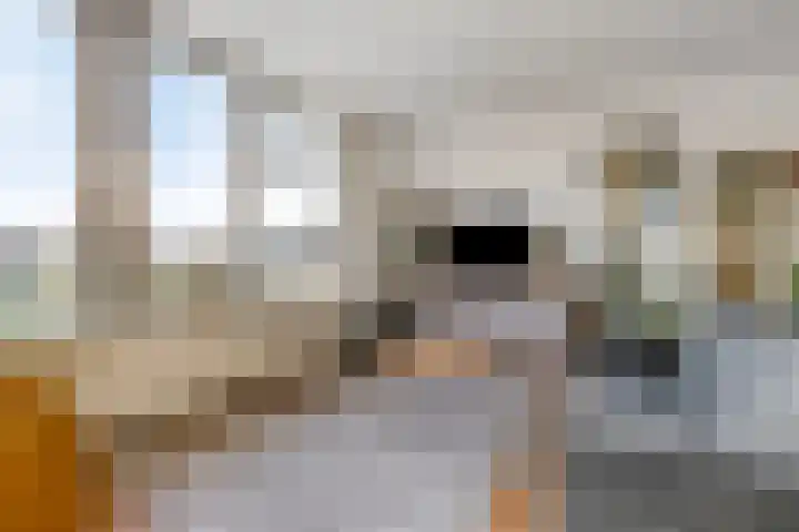 Lavendel 445 Cuijk thumbnail 6