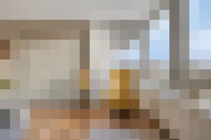 Lavendel 445 Cuijk thumbnail 7