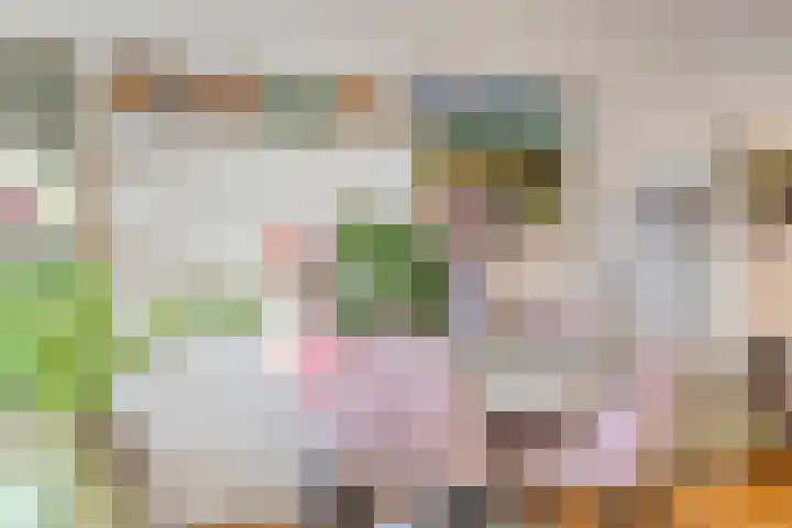Lavendel 445 Cuijk thumbnail 8