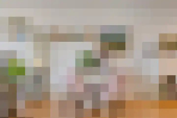 Lavendel 445 Cuijk thumbnail 9