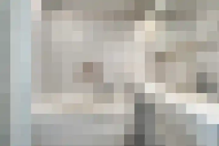 Lavendel 449 Cuijk thumbnail 14