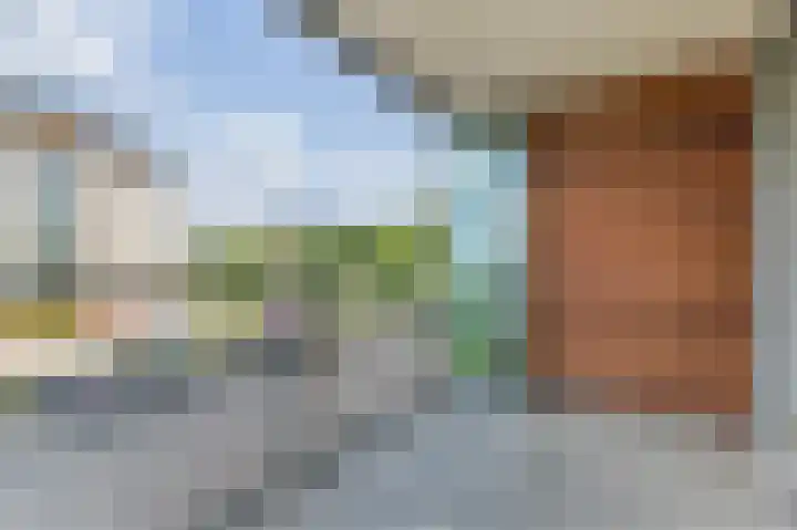 Lavendel 449 Cuijk thumbnail 22