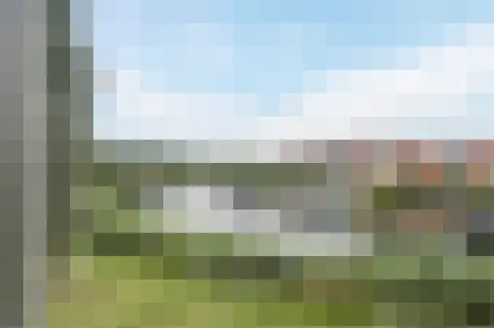 Lavendel 449 Cuijk thumbnail 23