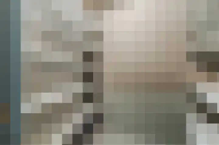 Lavendel 449 Cuijk thumbnail 26