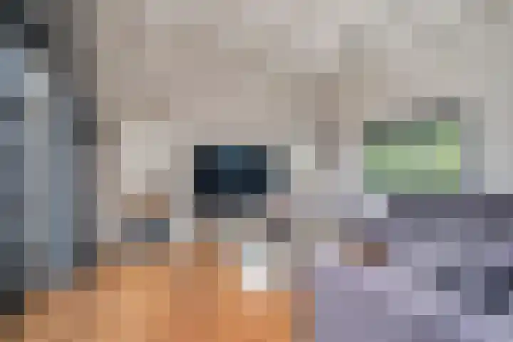 Lavendel 449 Cuijk thumbnail 30
