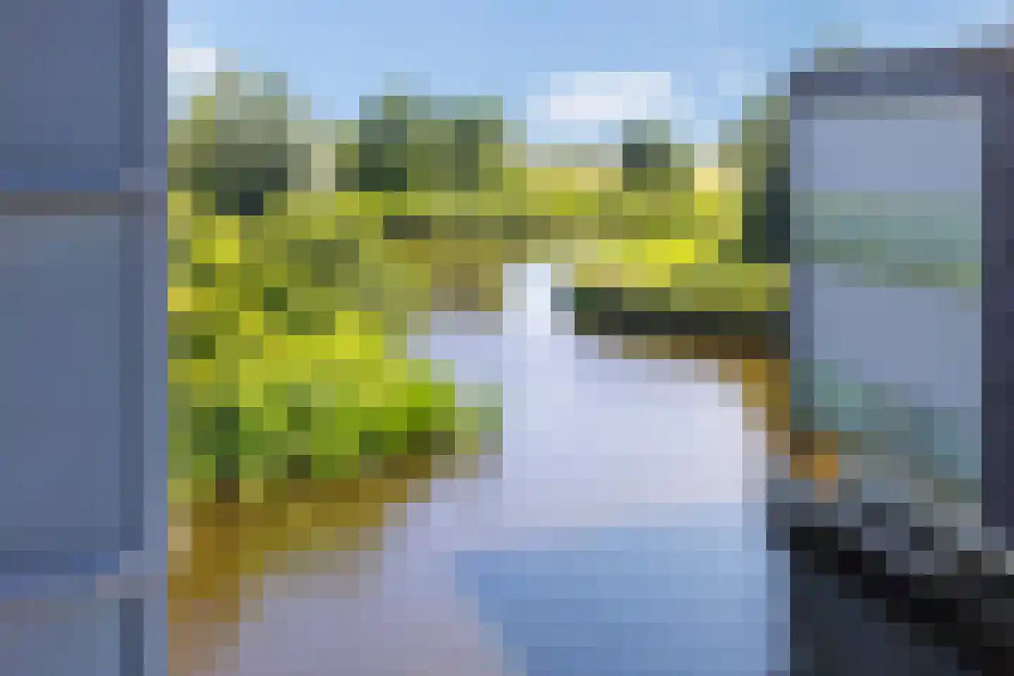 Lavendel 449 Cuijk thumbnail 4