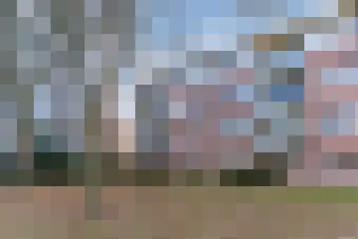 Lavendel 469 Cuijk thumbnail 10