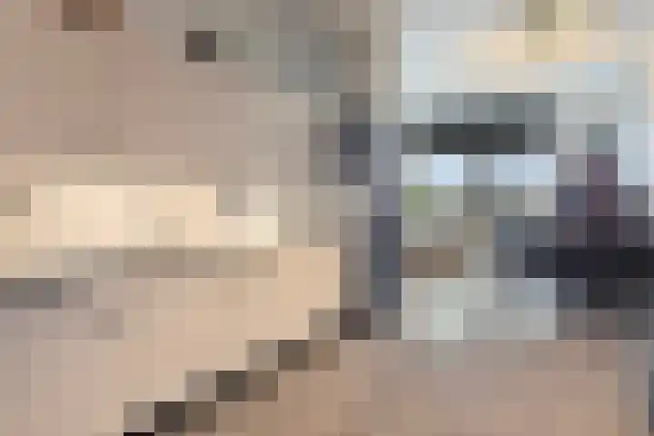 Lavendel 469 Cuijk thumbnail 15