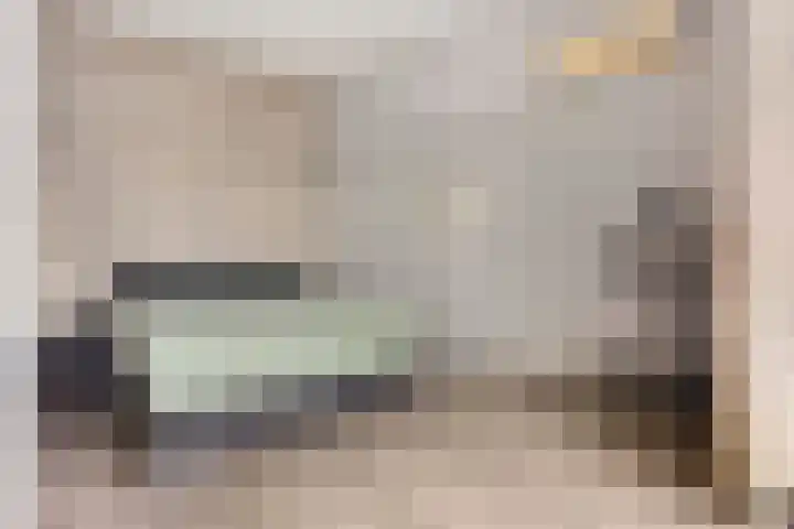 Lavendel 469 Cuijk thumbnail 16