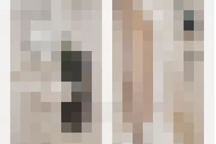 Lavendel 469 Cuijk thumbnail 19
