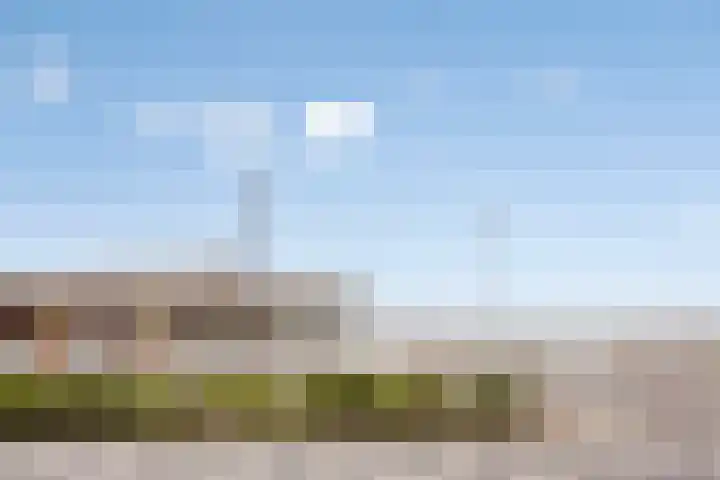 Lavendel 469 Cuijk thumbnail 25