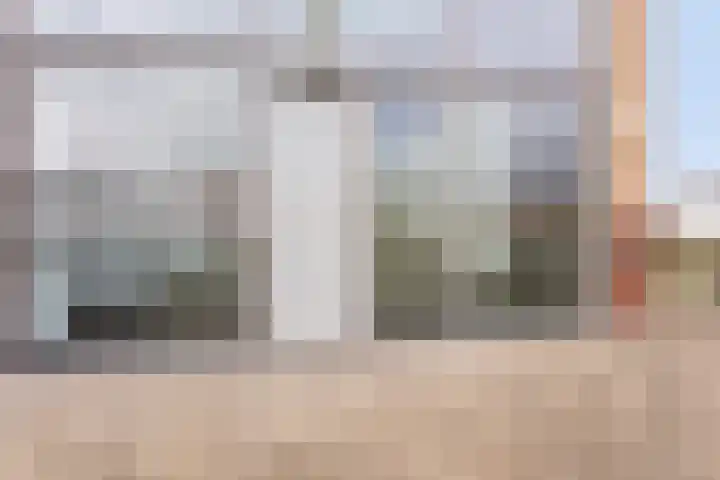 Lavendel 469 Cuijk thumbnail 6
