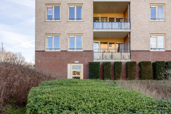 Lavendel 481 Cuijk thumbnail 28