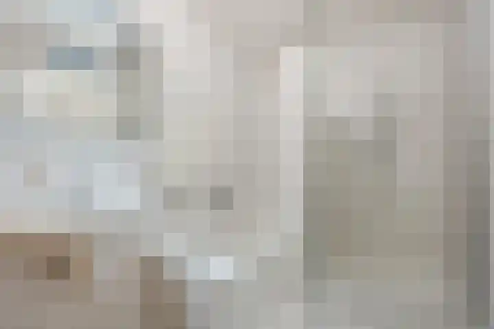 Lavendel 489 Cuijk thumbnail 13