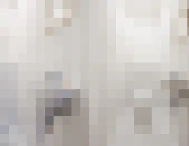 Lavendel 489 Cuijk thumbnail 15