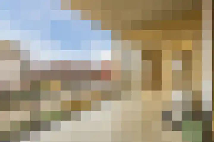 Lavendel 489 Cuijk thumbnail 17