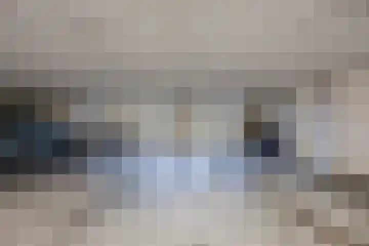 Lavendel 489 Cuijk thumbnail 19