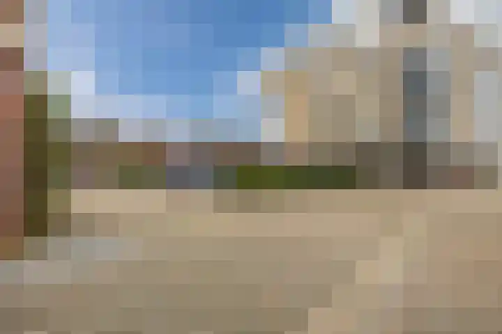 Lavendel 489 Cuijk thumbnail 21
