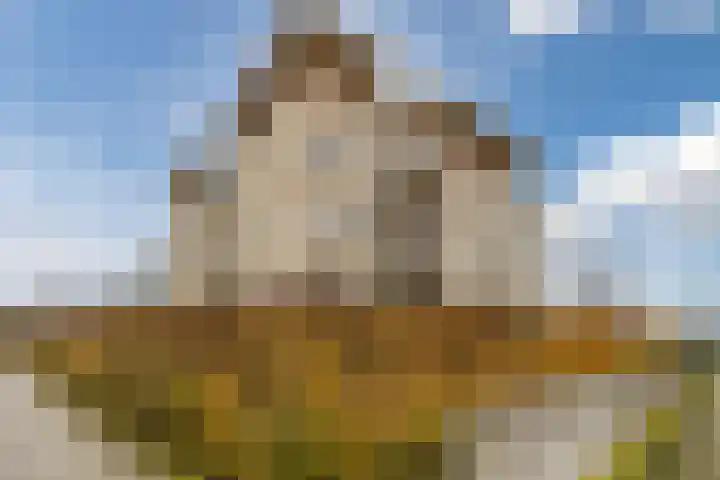 Lavendel 489 Cuijk thumbnail 24