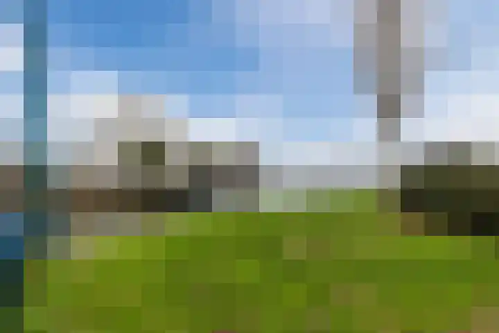 Lavendel 489 Cuijk thumbnail 25