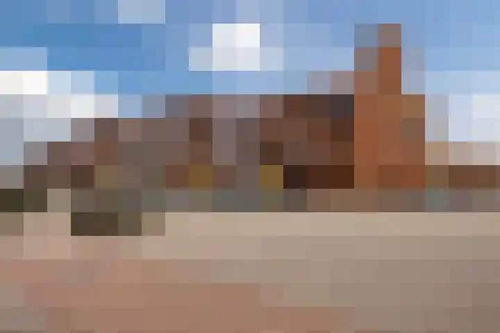 Lavendel 489 Cuijk thumbnail 26