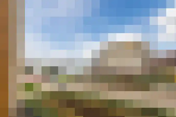 Lavendel 489 Cuijk thumbnail 4