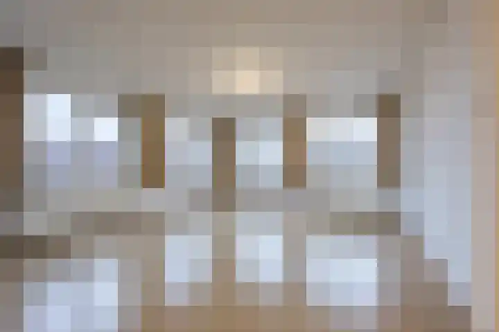 Lavendel 489 Cuijk thumbnail 6