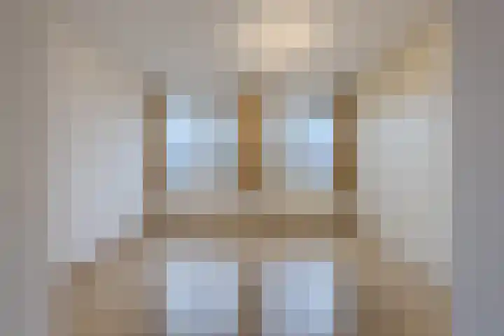 Lavendel 489 Cuijk thumbnail 8