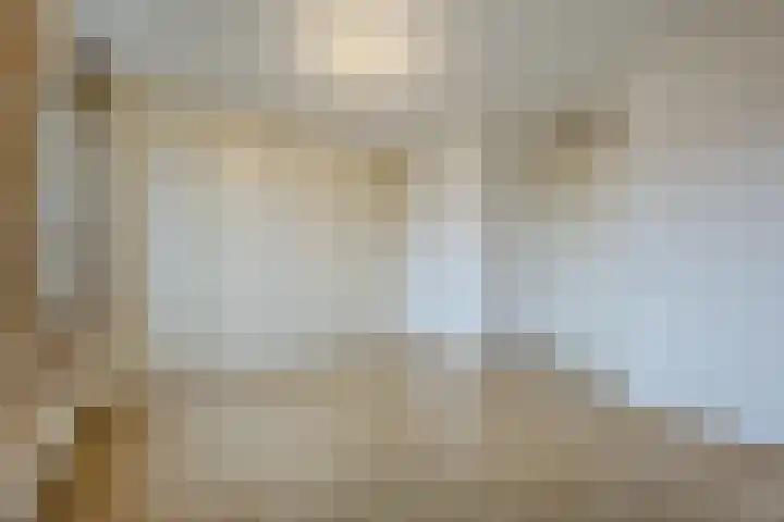 Lavendel 489 Cuijk thumbnail 9