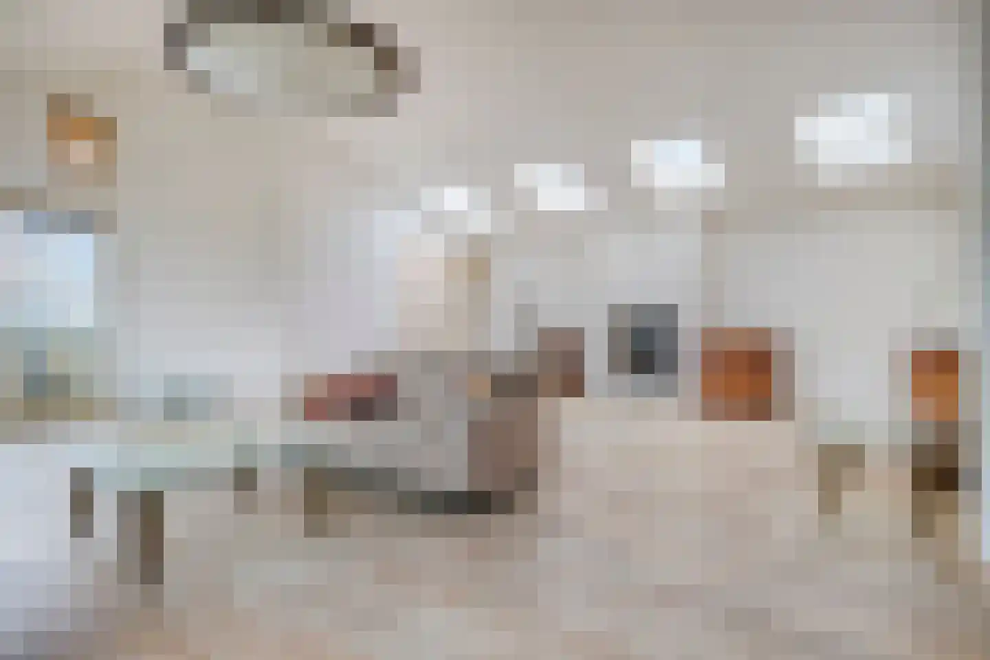 Lavendel 499 Cuijk thumbnail 21