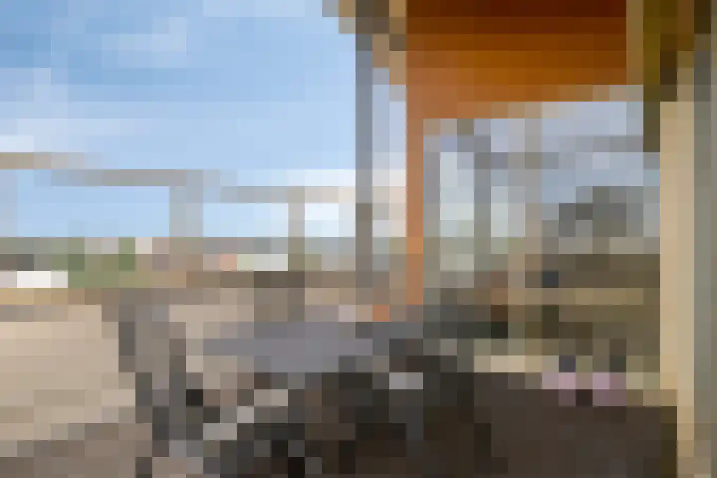 Lavendel 499 Cuijk thumbnail 22