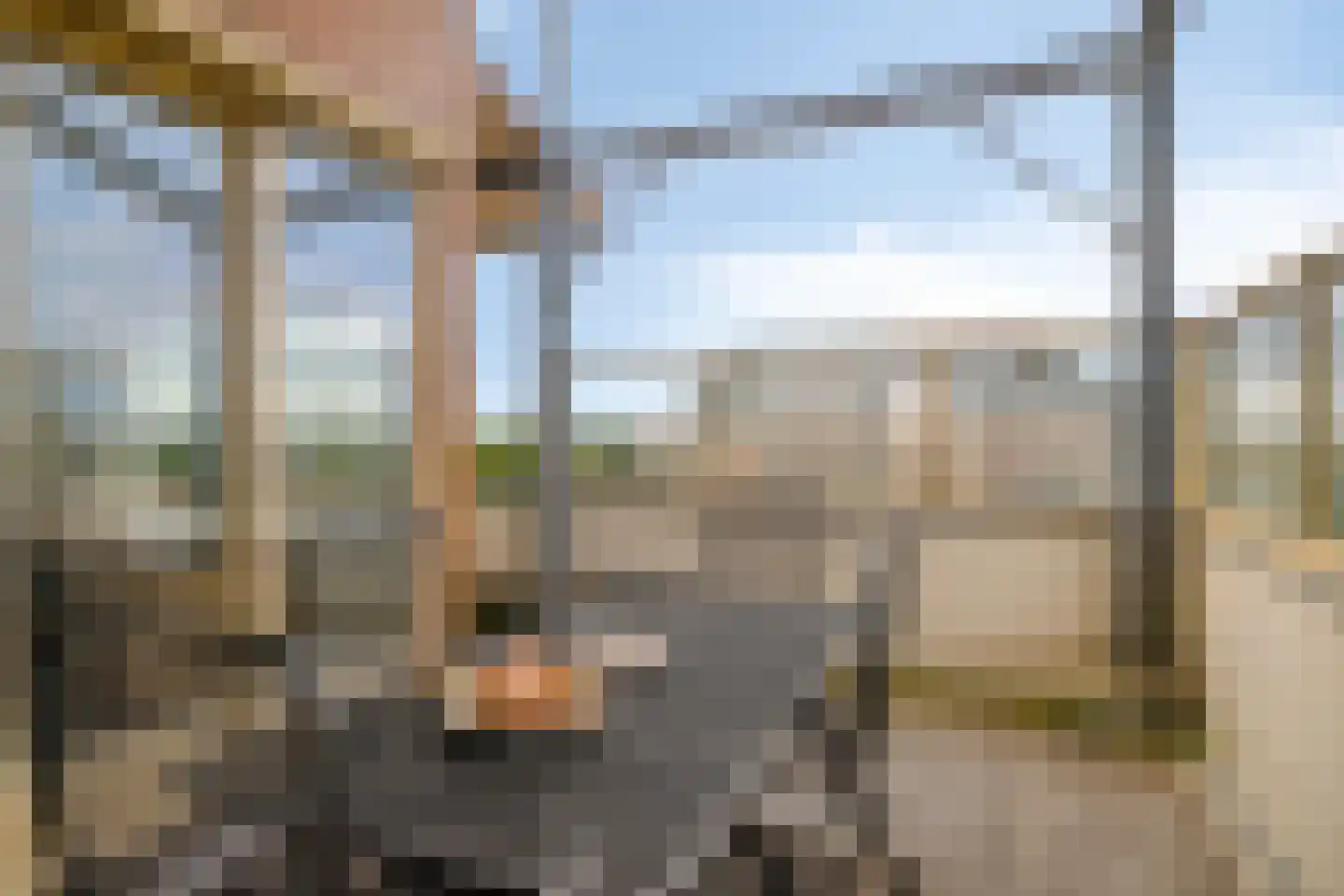 Lavendel 499 Cuijk thumbnail 23