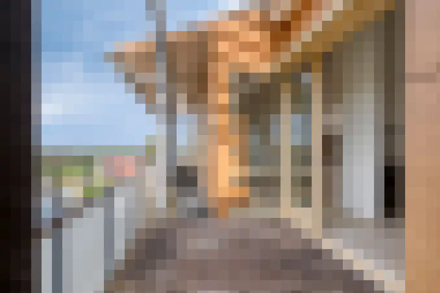 Lavendel 499 Cuijk thumbnail 30