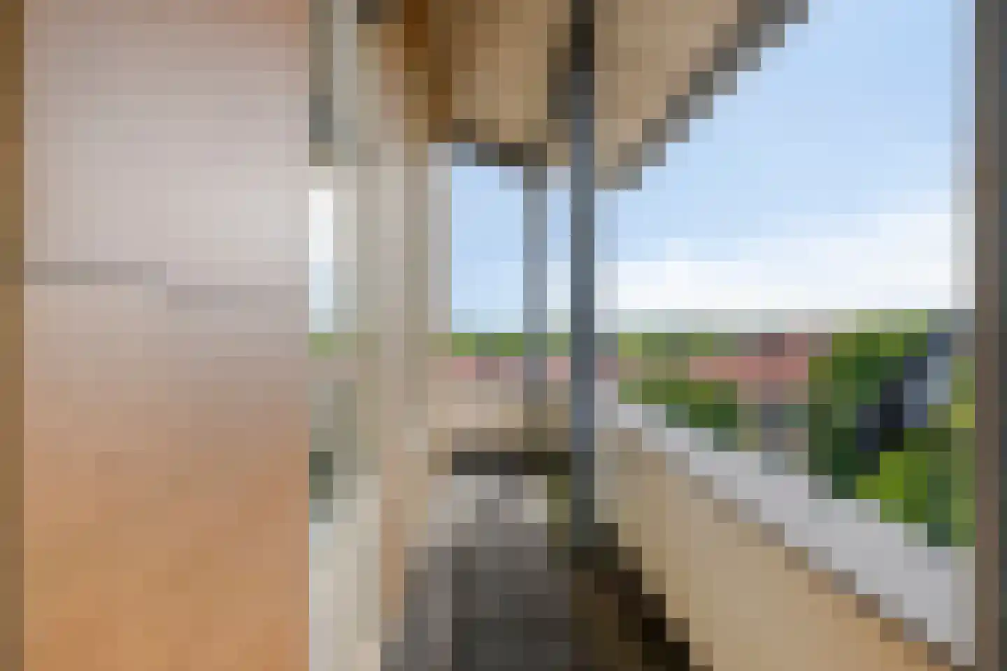 Lavendel 499 Cuijk thumbnail 32