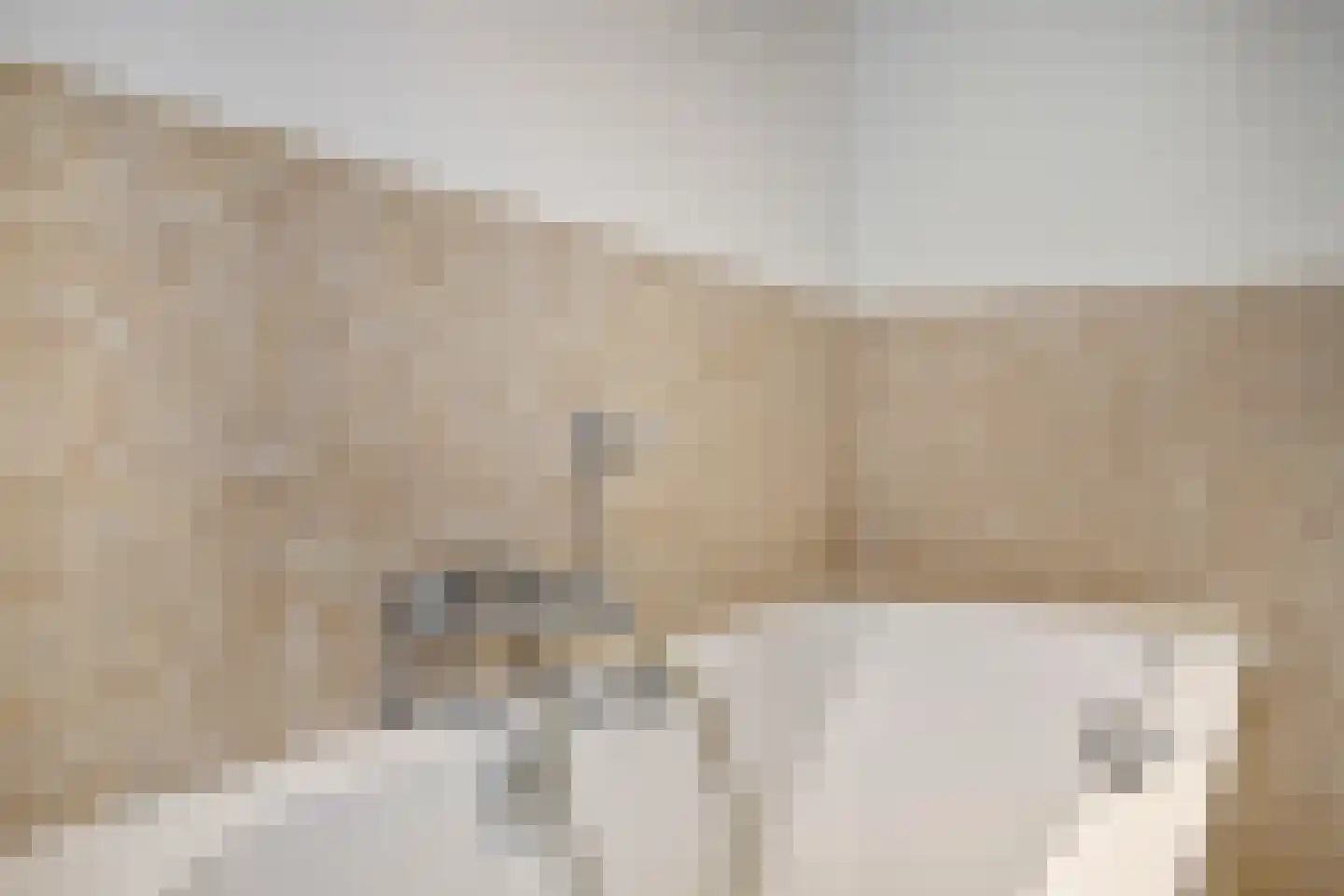 Lavendel 499 Cuijk thumbnail 36