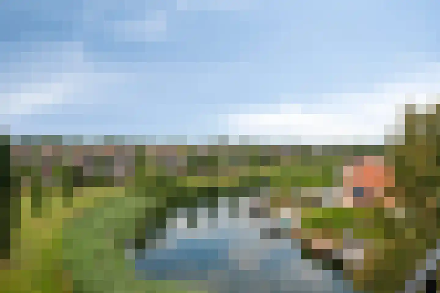 Lavendel 499 Cuijk thumbnail 44
