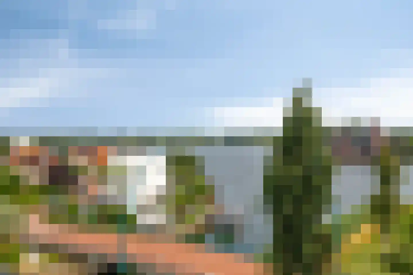 Lavendel 499 Cuijk thumbnail 45