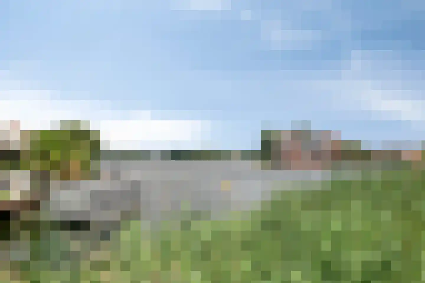 Lavendel 499 Cuijk thumbnail 46