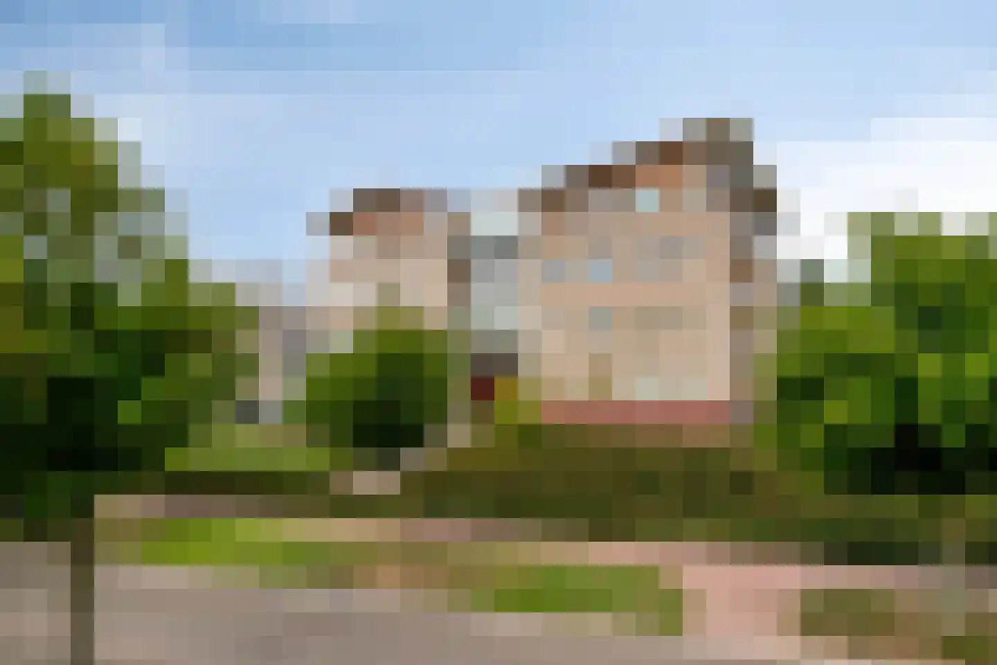 Lavendel 499 Cuijk thumbnail 7