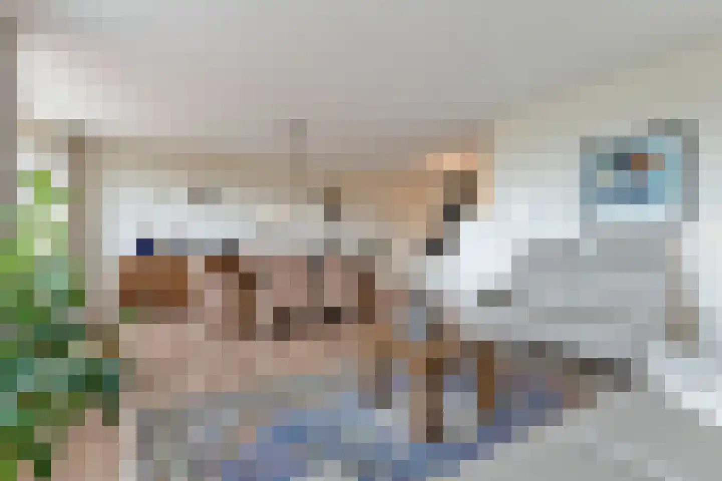 Lavendel 509 Cuijk thumbnail 11