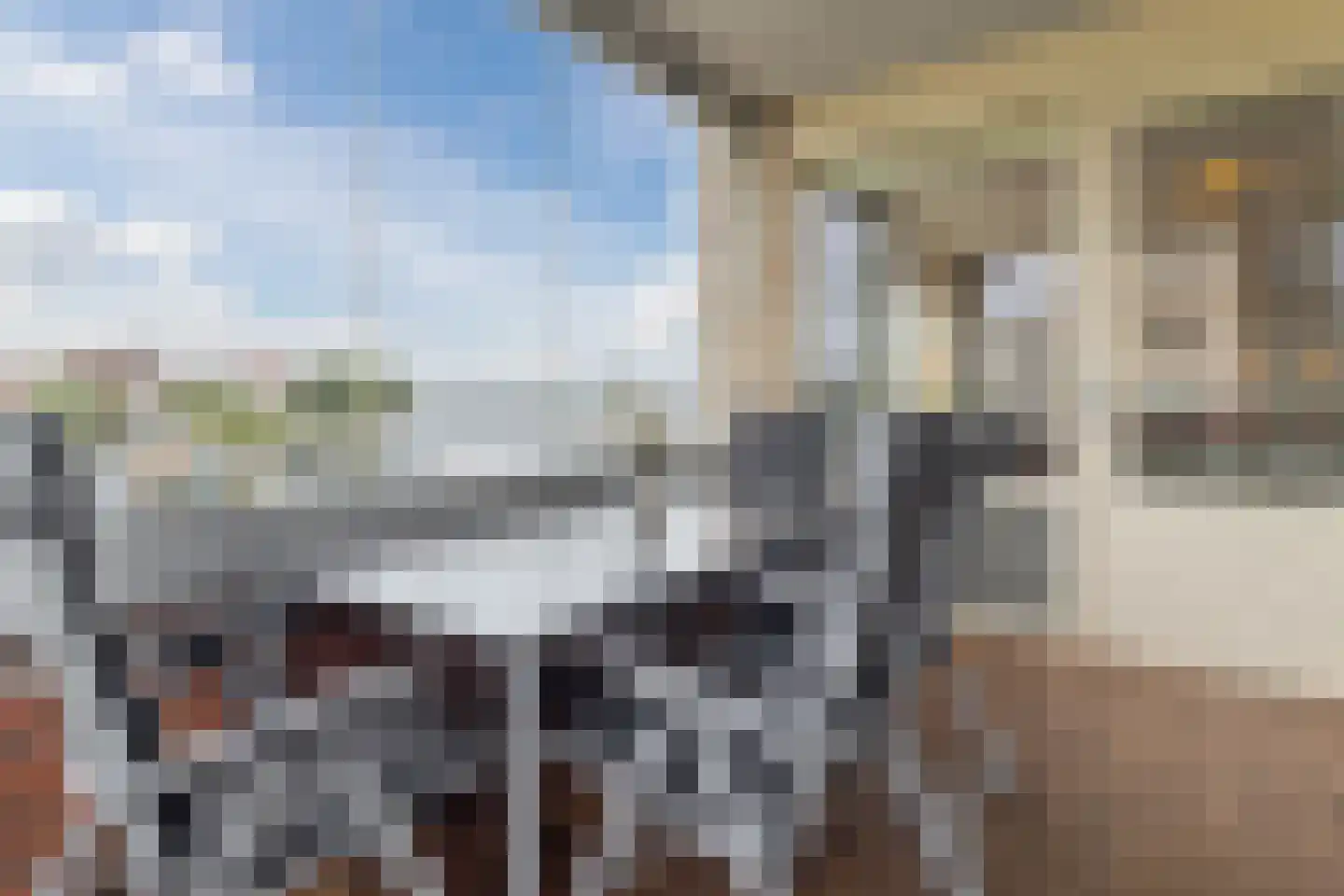 Lavendel 509 Cuijk thumbnail 23