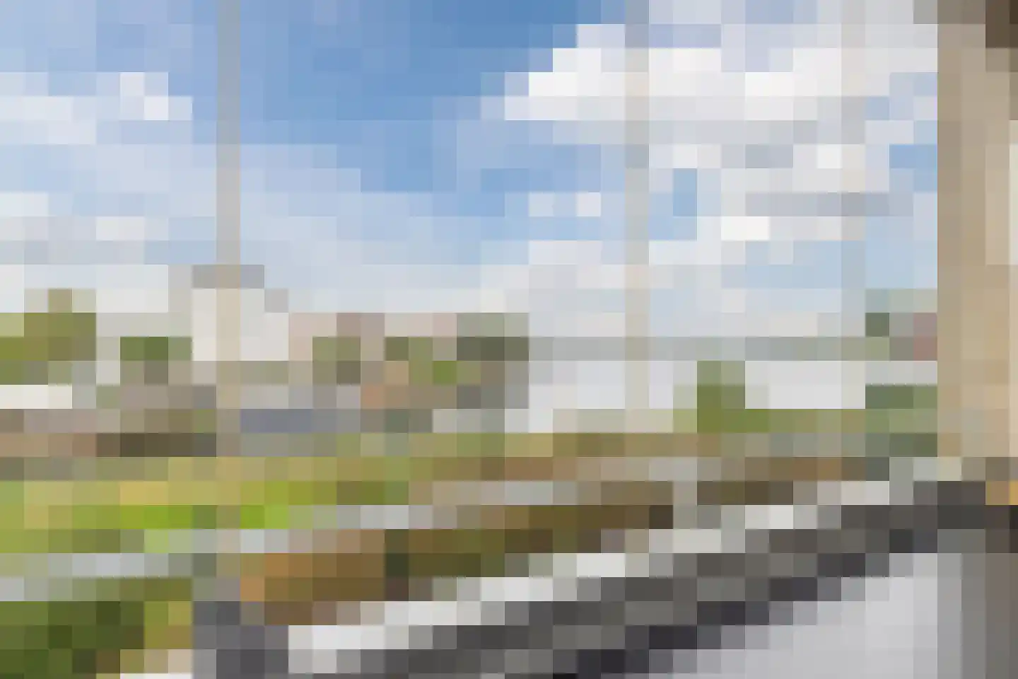 Lavendel 509 Cuijk thumbnail 24