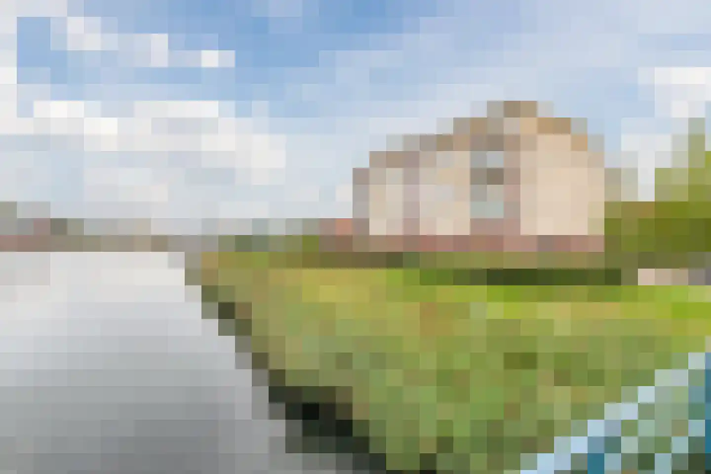 Lavendel 509 Cuijk thumbnail 26