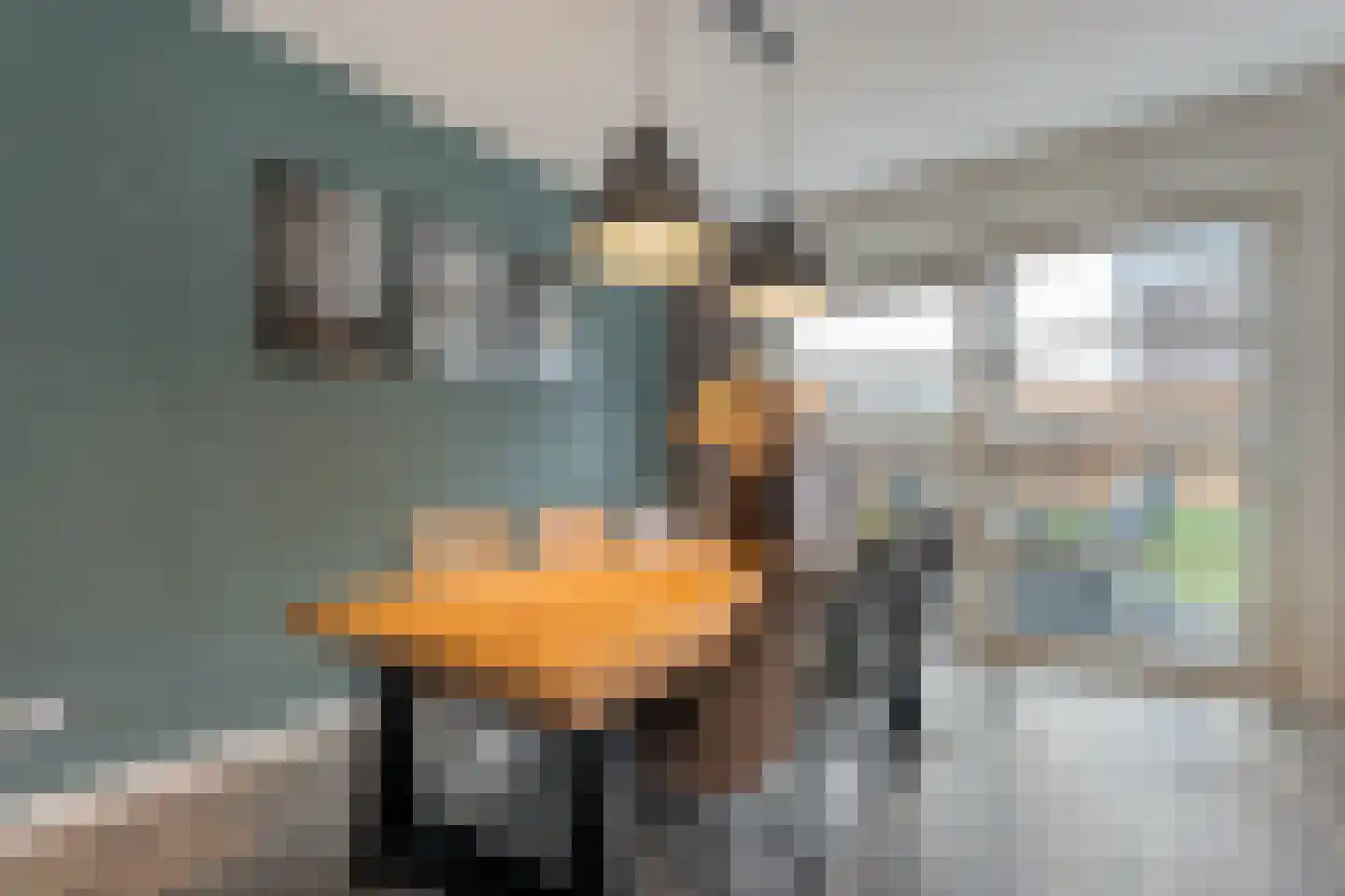 Lavendel 59 Hardenberg thumbnail 22