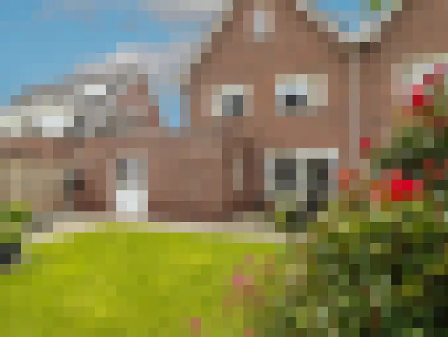 Lavendel 59 Hardenberg thumbnail 45