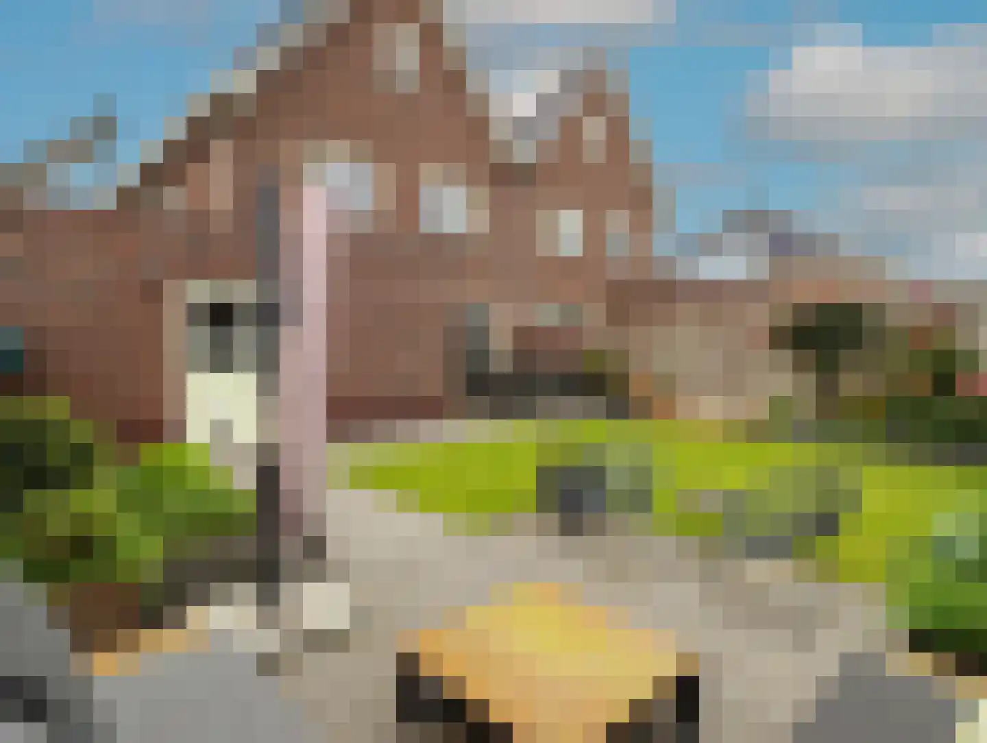 Lavendel 59 Hardenberg thumbnail 46