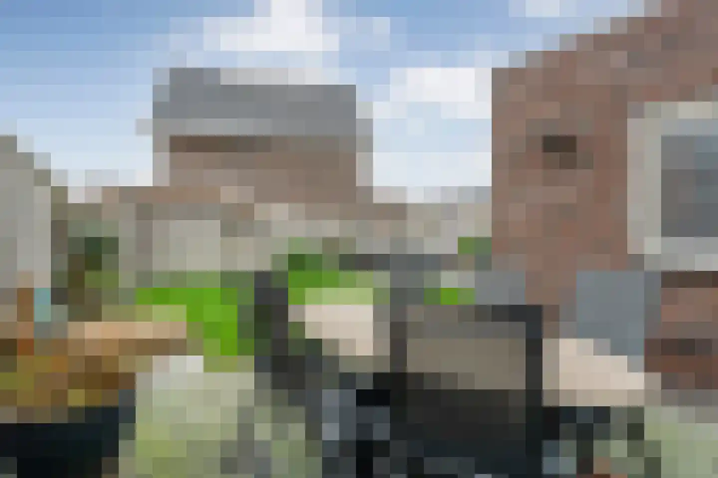 Lavendel 59 Hardenberg thumbnail 46