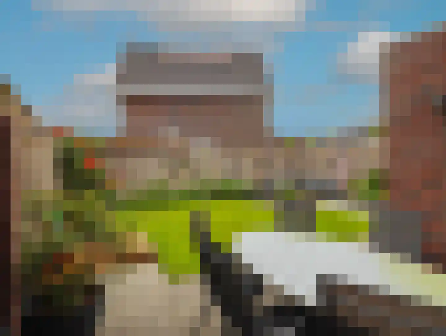 Lavendel 59 Hardenberg thumbnail 47